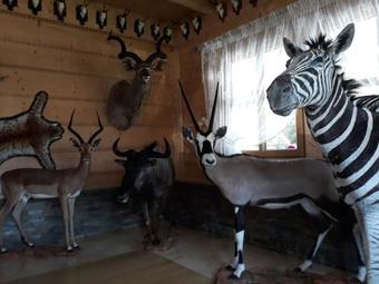 Hostal Pensjonat Dziubas