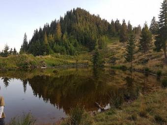 Hostal Vila Victoria