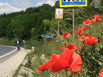 Agroturismo Dominic Boutique - Atelier