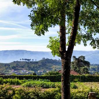 Hostal Quinta De Marnotos