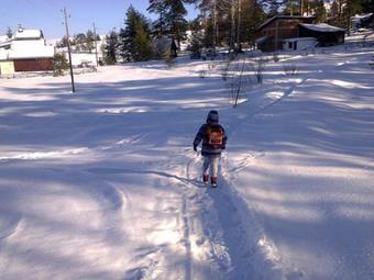 Lodge Woodpeckers House