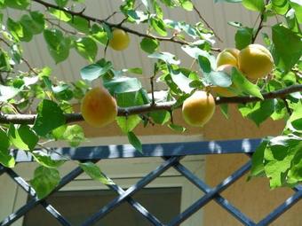 Hostal Na Uralskoy Guest House