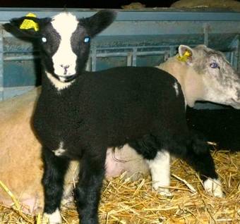 Kullens Bed And Breakfast