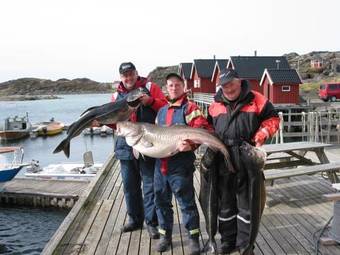 Offers�y Feriesenter