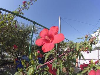 Hostal Guest House Bereg