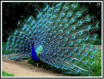 Hotel Complex Lenivaya Vera