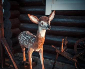 Zagorodny Club Olenya Gora