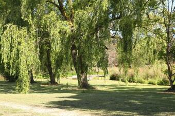 Bed & Breakfast Little Lake Cottage