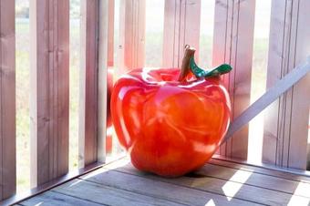 Bed & Breakfast Cave Du Treyblanc