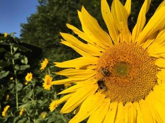 Apartamento Ferienwohnung