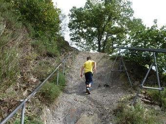 Apartamento Ferienwohnungen Scheid Volker