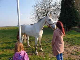Hostal Hotel Restaurant Landhaus Zum Mushof 3 Km Von Autobahn