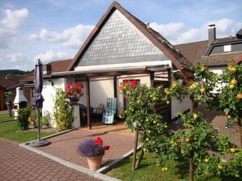 Ferienhaus-pahl-in-wolfshagen