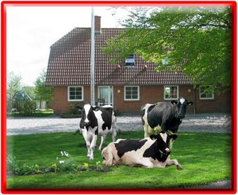 Agroturismo Hveddegaard Farm Holiday