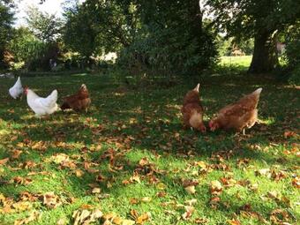 R�dk�rg�rd Bed&breakfast