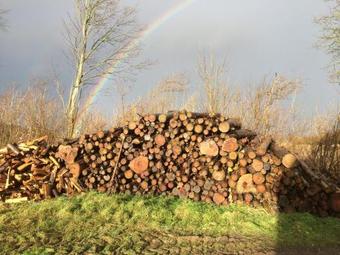 Apartamento Skelgaard Ferielejlighed