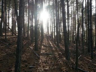 Agroturismo Loboratorio Rural-la Sonrisa Del Aire