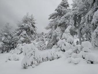 Agroturismo La Carrasca