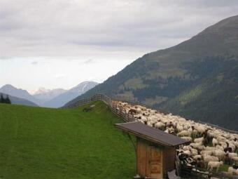 Privatzimmer Wegscheider