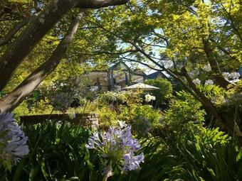 Cobb's Hill Homestead