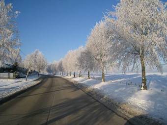 Apartamento Linden-jachthoorn