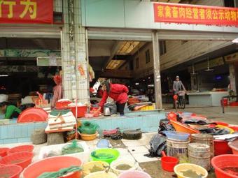 Holiday And Healthy Homestay