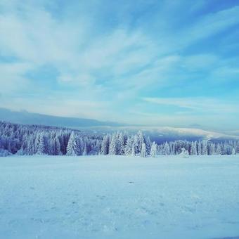 Apartamento Penzion Horska Kvilda