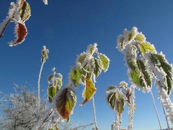 Apartamento Zum Pinken Schaf