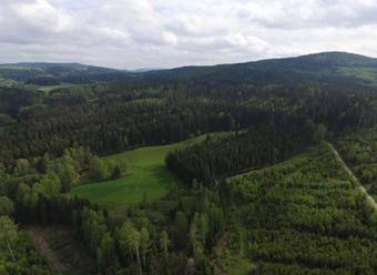 Hostal Pension "zur Krone"