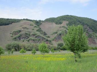 Apartamentos Ferienhaus Schwaab-scherr