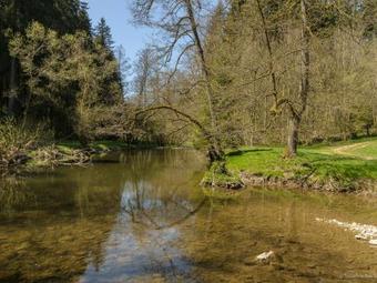 Apartamentos Ferienwohnung Im Eschachtal