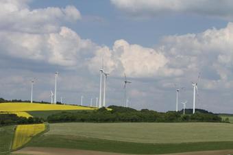 Apartamentos Ferienwohnung Birkenhof