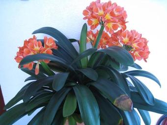 Hotel-restaurant Sonnenhof