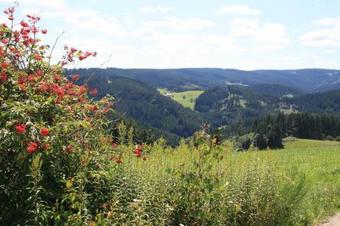 Apartamento Haus Am Waldrand