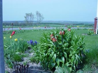 Bed & Breakfast Kardybvej 8