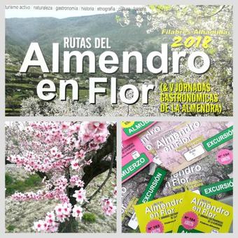 Hotel Casona Granado