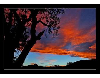 Agroturismo Casa Rural La Carrozal Senda Del Oso