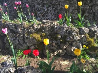 Apartamento Alojamientos Turisticos La Utrera