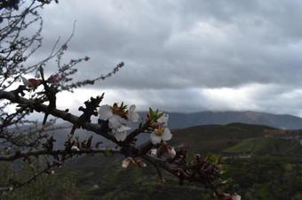 Apartamento Dreams Alpujarra