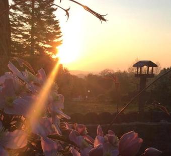 Bed & Breakfast L'ancienne Boulangerie