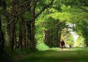 Hotel Auberge De L'abbaye