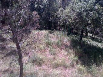 Villa Allee Des Mimosas