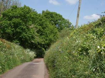 The Old Parlour, Sampford Courtenay