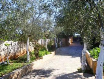 Apartments Tina Free Transfer From-to The Airport