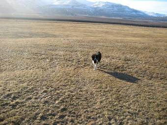 �sbrandsstadir Cottage