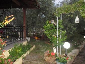 Elena's House Garden