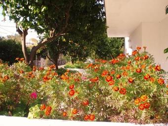 Apartamento Alexios Studios