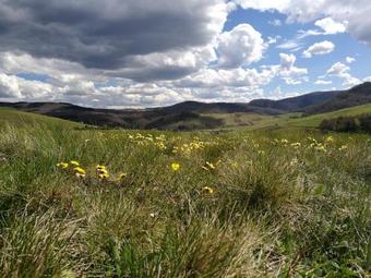 Villa Family House Rostovo