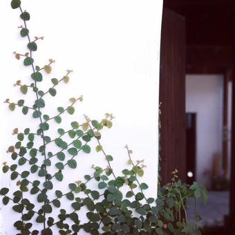 Hostal Zhuoliang Boutique Guesthouse