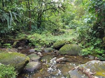 Lodge Caba�a Quetzal